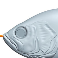 GLIDEHUSTLER グライドハスラー – Lure-Fly.com