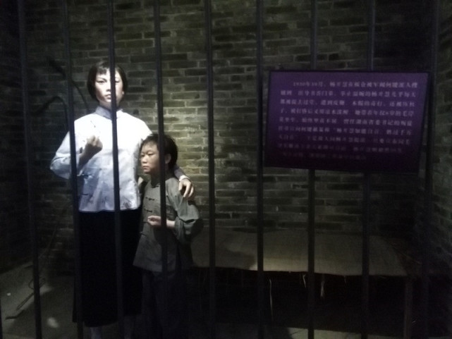 杨开慧英勇牺牲细节：两枪未死又补一枪，遗言：惟愿润之革命早日成功