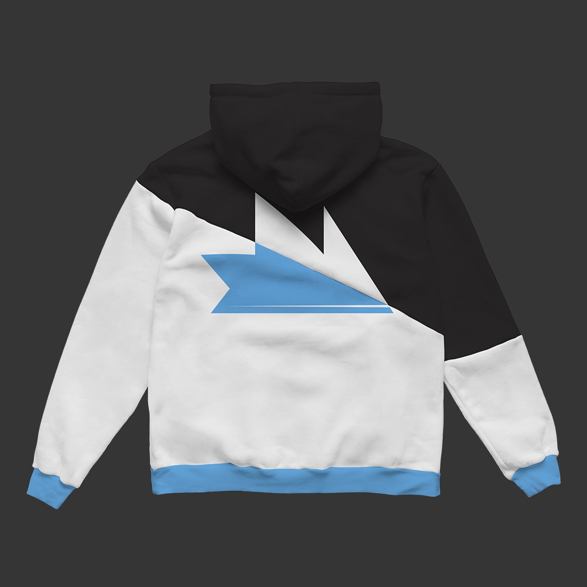 Ninja 2024 Logo Hoodie • Team Ninja