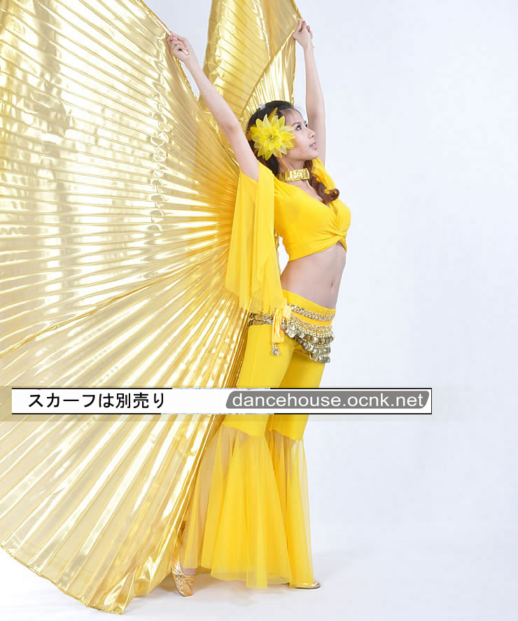 ベリーダンスセットアップ004--「全9色」 ベリーダンス2点セット☆裾