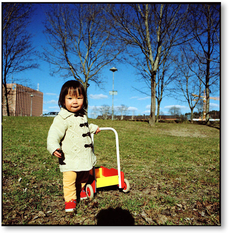 ディスタゴン60mm/5.6の写り。 / ストックホルムの空を見上げて