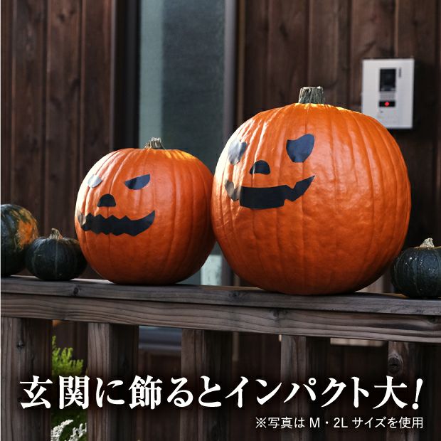 ハロウィンかぼちゃ Lサイズ2玉｜食べレア北海道 物産 お取り寄せ