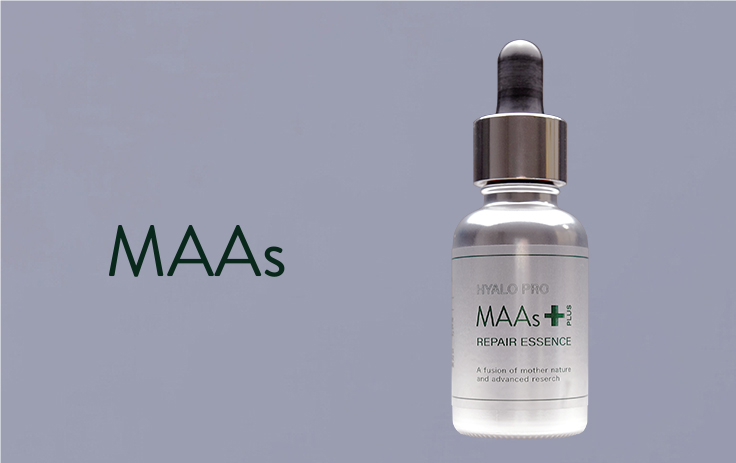 MAAs｜滝川株式会社