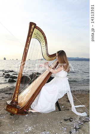 ハープを奏でる女性ーWomen who play the harpの写真素材 [14313501