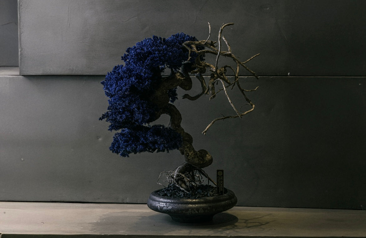 RE Bonsai] TOUFU Co., Ltd. EC site