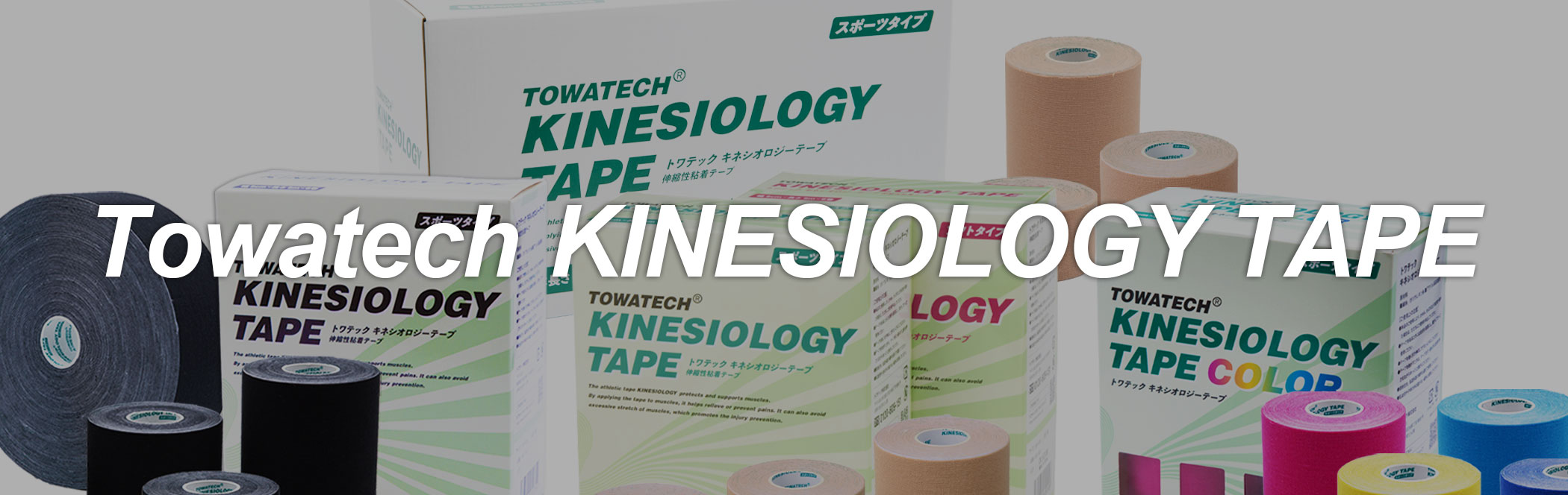 MSMクリーム 140g 日本製 レビュー | トワテック