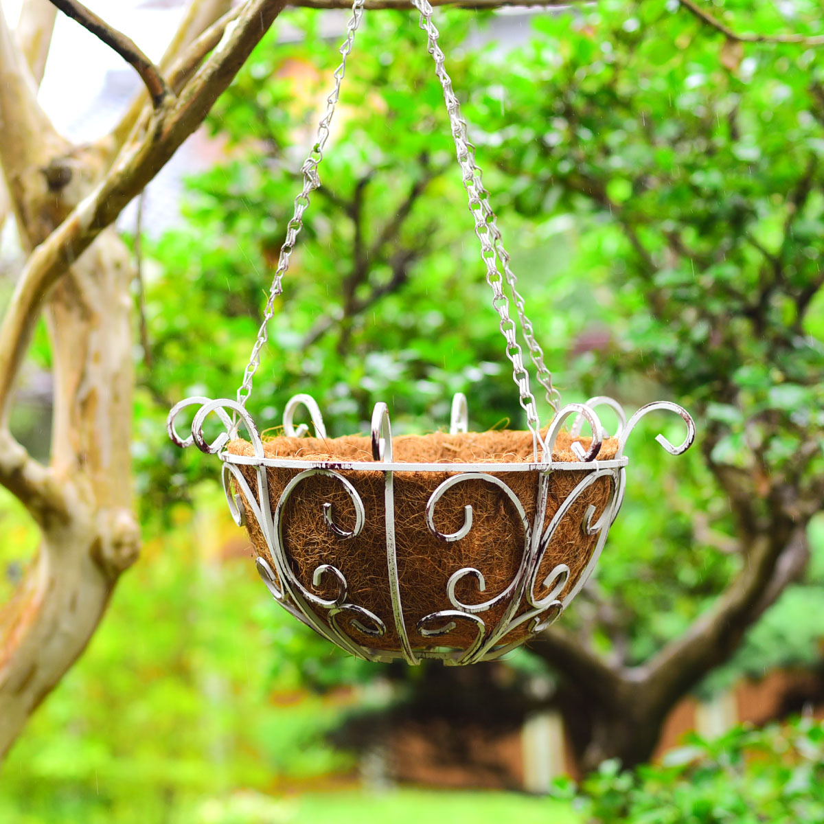 楽天市場】39対応 ゴージャスアイアンハンギングバスケット 2個セット