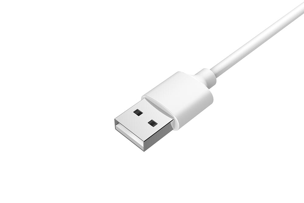 楽天市場】ANLAN 充電コード 充電ケーブル MicroUSB 美顔器用 1個