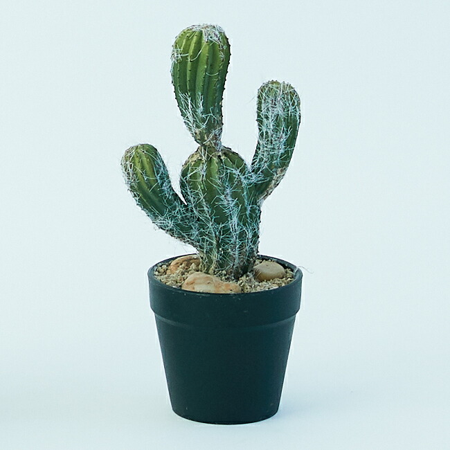 楽天市場】【造花】【フェイクグリーン】 ミニサボテン ポット 21