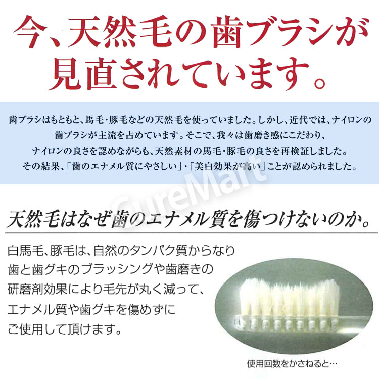 楽天市場】IKMT 歯ブラシ 白馬毛 やわらかめ コンパクトヘッド◇3本