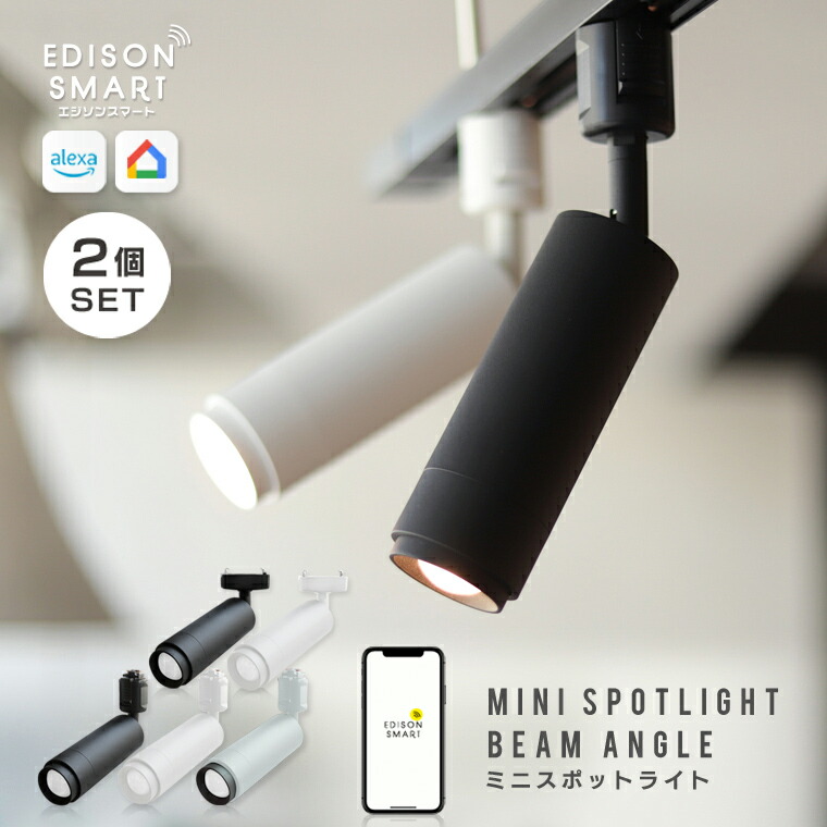 楽天市場】2個セット ダクトレール ライト エジソンスマート ミニ