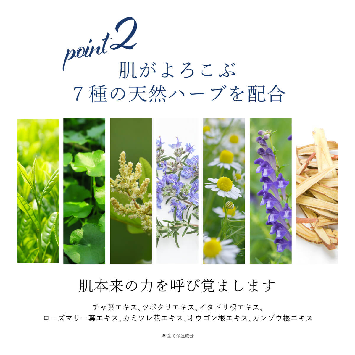 楽天市場】AFC VITRY スリーピングパック 80g【1世帯様12個まで