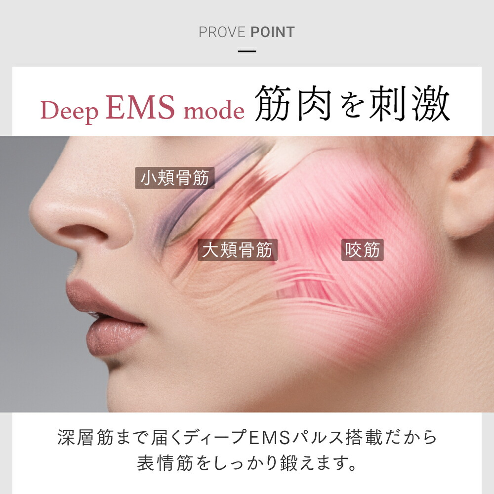 楽天市場】【公式｜スーパーSALE 10%OFFクーポン+P10倍！】EMS 美顔器