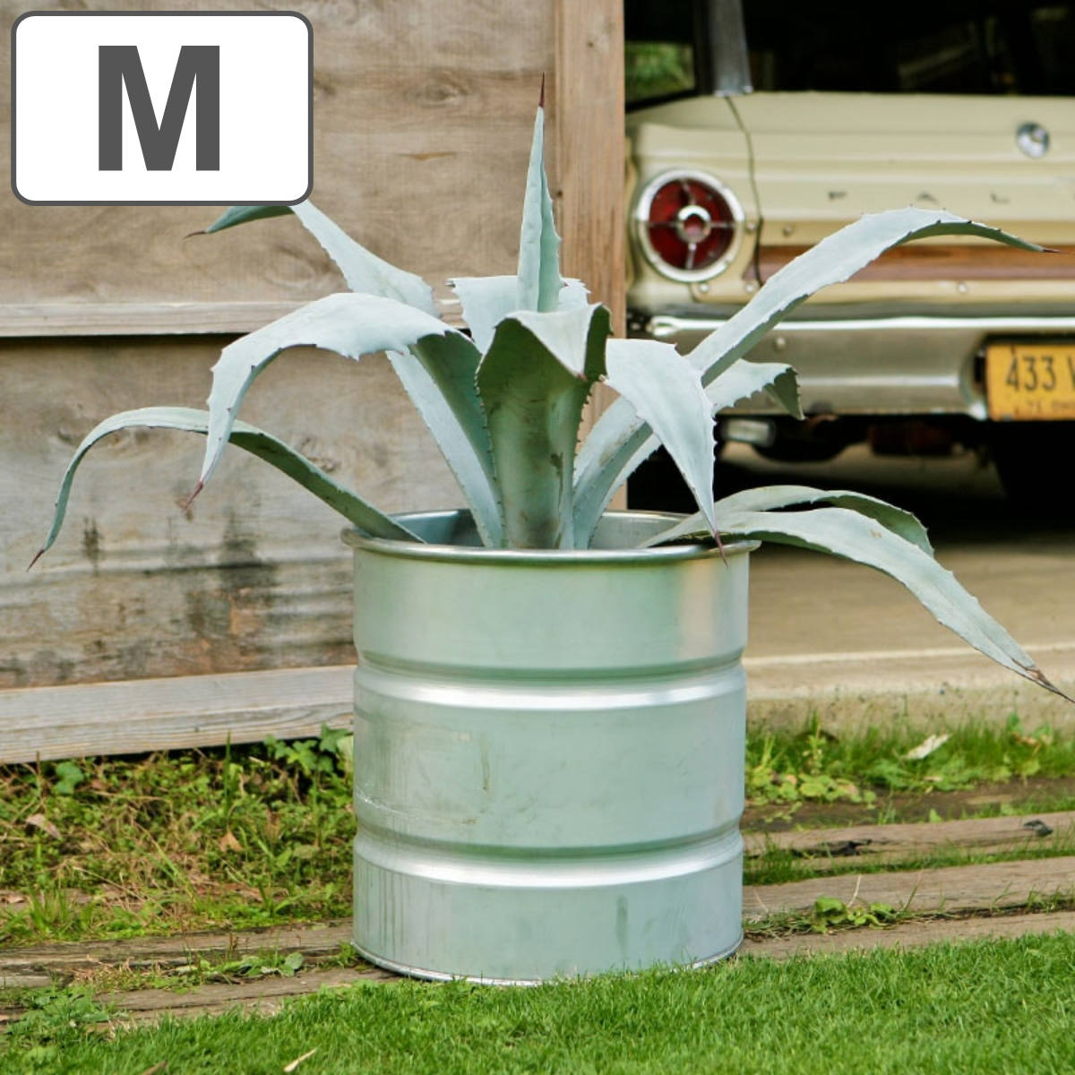 鉢 ドラム缶」の人気商品一覧 | 安い商品を通販サイトから探す - 価格.com