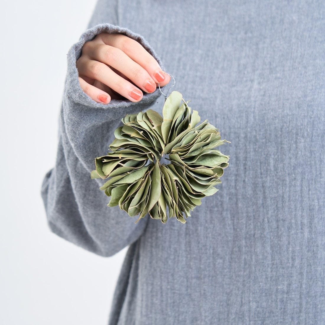 ミルフィーユ＞ユーカリ ポポラスのリース 商品ページ - 土と風の植物園