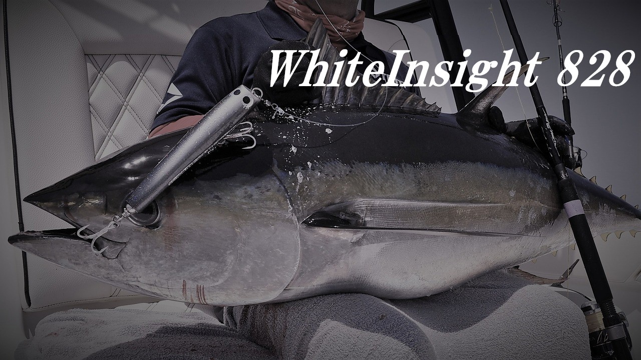 truth japan ホワイトインサイト828値下げ中‼️ WhiteInsight 828