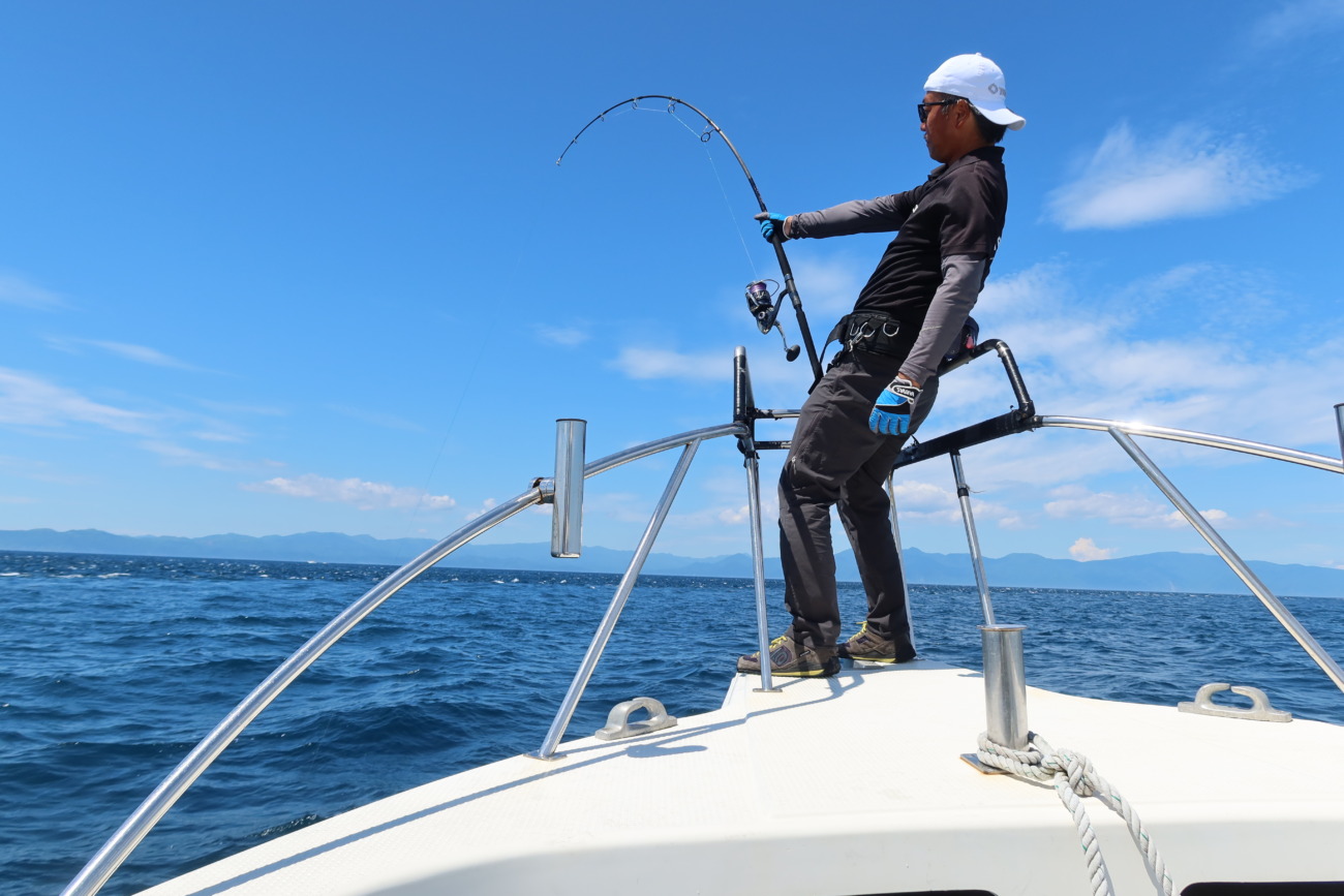 WhiteInsight 7610 | TRUTH JAPAN