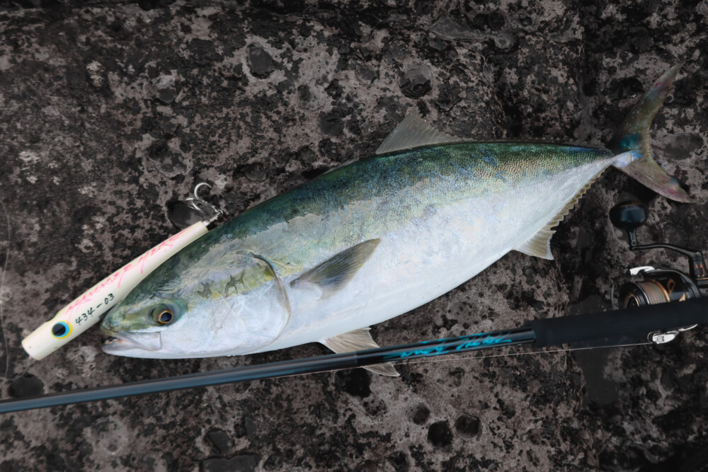 BlackDimension 103 Medium Heavy | TRUTH JAPAN