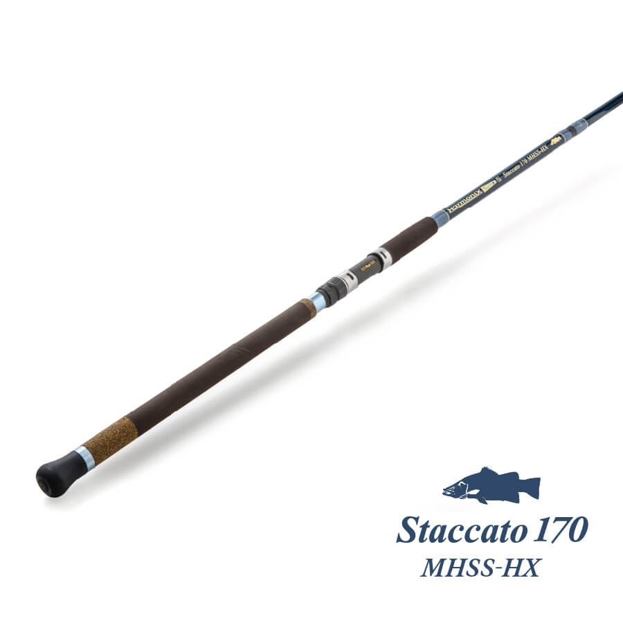 Staccato 170 MHSS-HX – TULALA online store