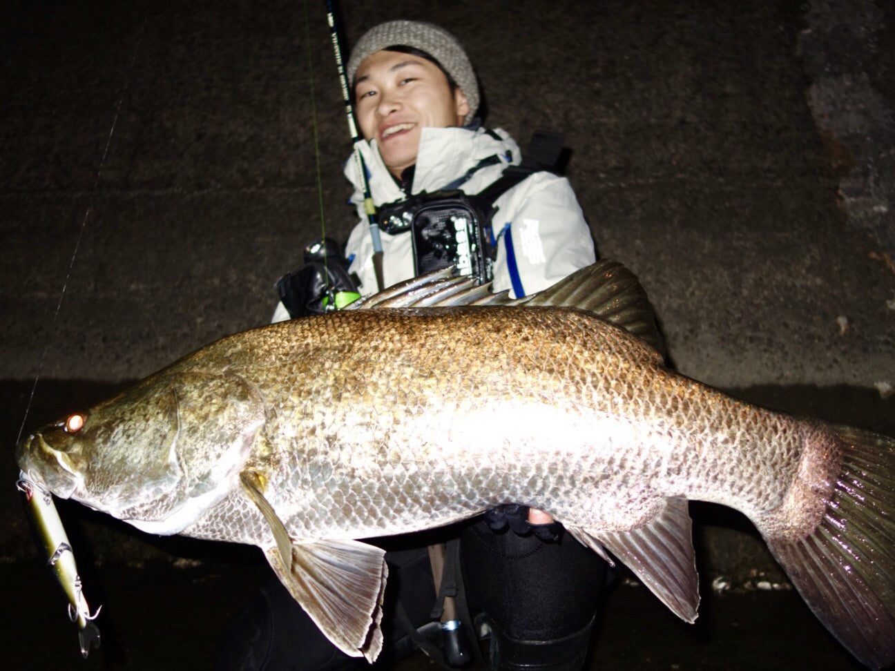 Staccato 98 MHSS-HX – TULALA online store