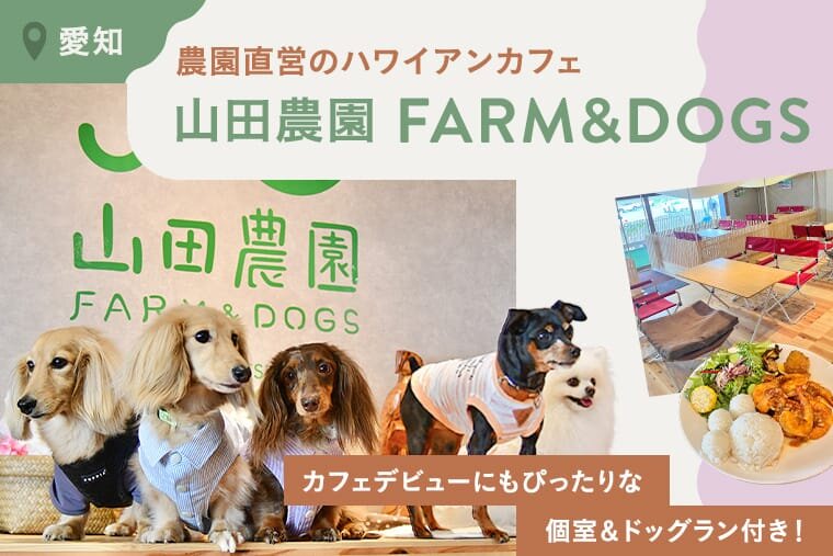 山田農園FARM&DOGS】愛知県岡崎市のドッグカフェ｜ワンコnowa
