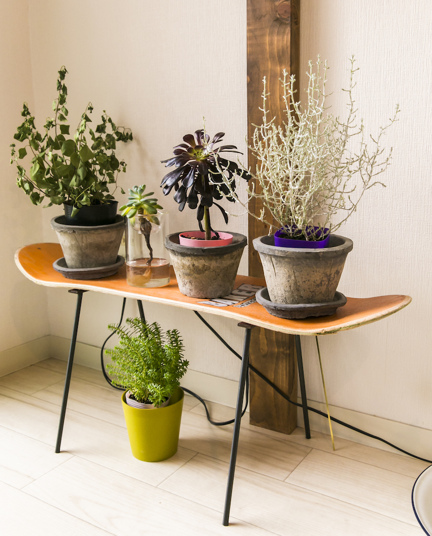 スケボーデッキを使った、自分だけのインテリアを作ろう。 | GO OUT WEB