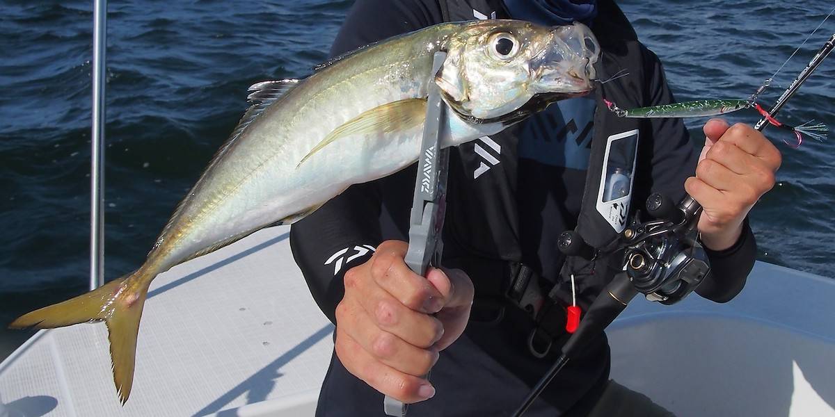 SLJ（スーパーライトジギングロッド）おすすめ人気18選｜価格・特徴