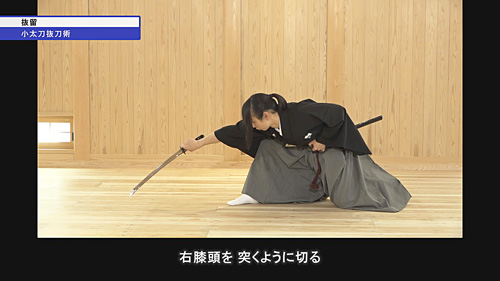 新作DVDレビュー】伝統を現代に活かす、古流の総合武術！DVD【天心流