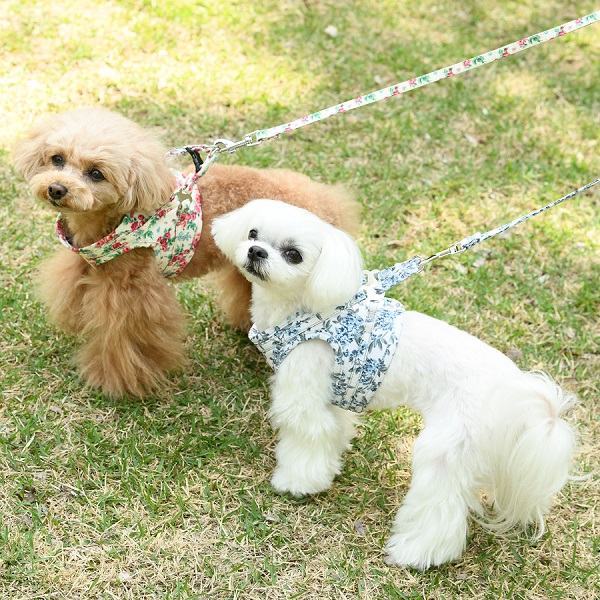 LAURA ASHLEY（ローラアシュレイ）フラワーハーネス｜全2色 | 犬服