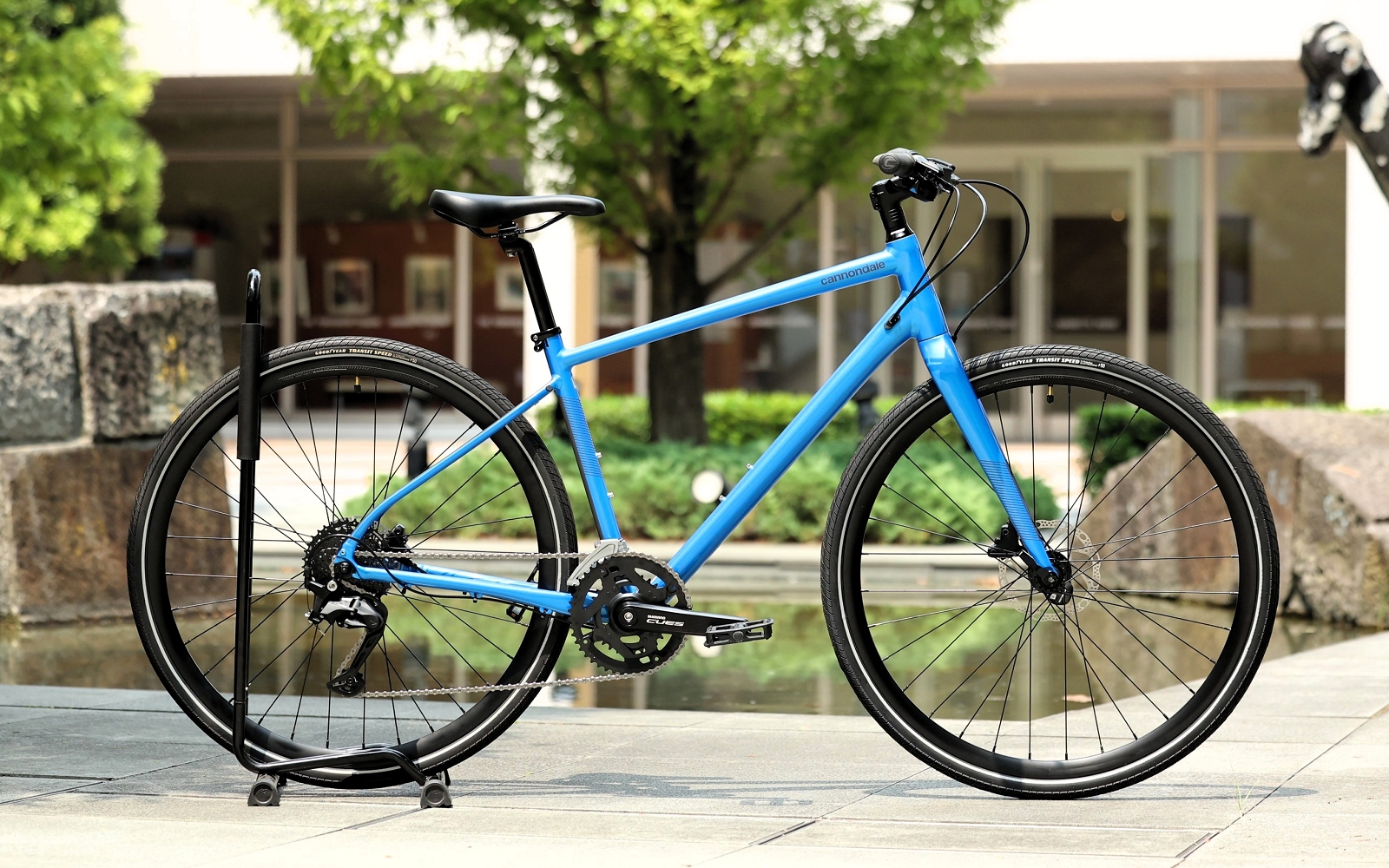 Quick 3 新色エレクトリックブルー入荷しました | キャノンデール横浜