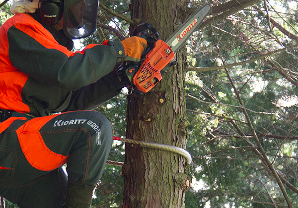 アグリズおすすめの共立チェンソーCS251T！