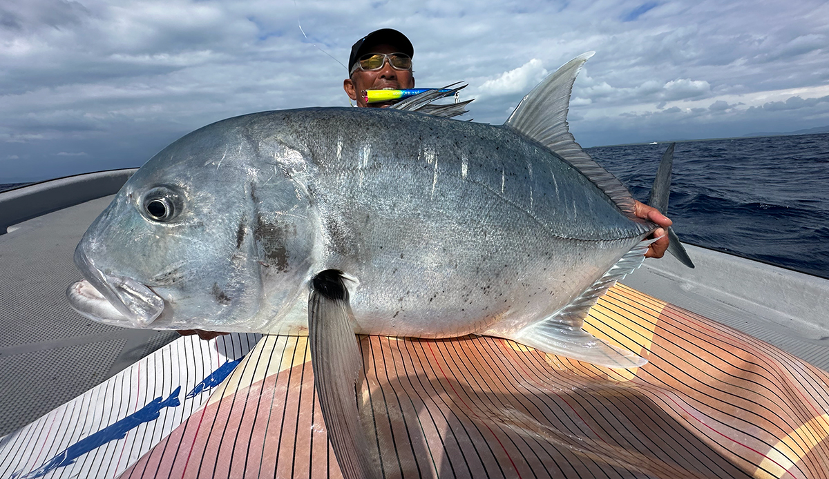 Bonger | Atoll アトール