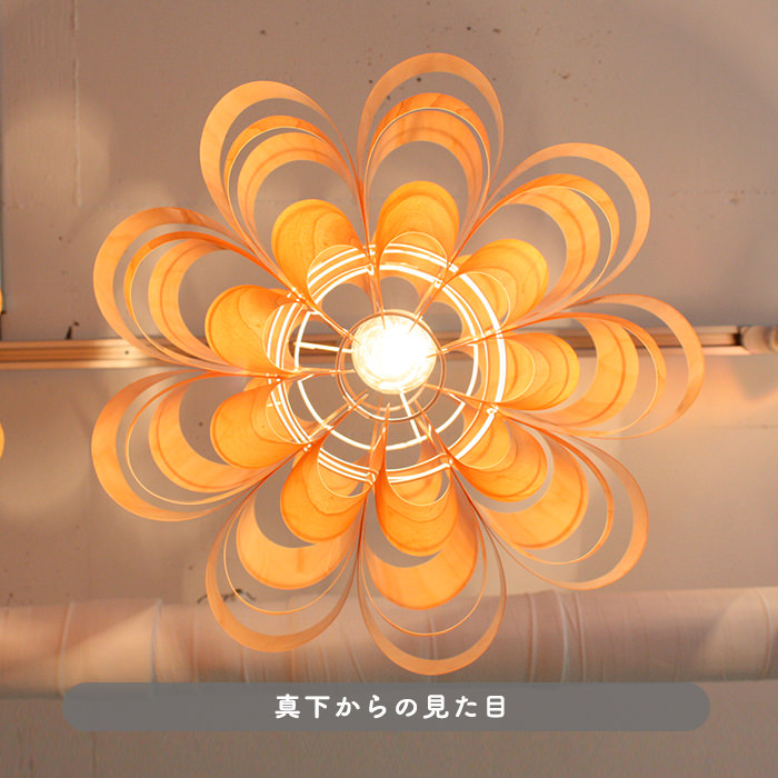 Don2-wood ペンダントライト・照明作家 谷俊幸｜照明のライティング