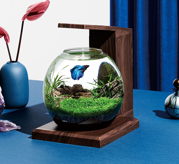 グラスアクア ペルコ ｜オールインワン水槽セット｜ジェックス