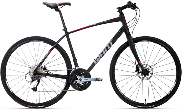 2019 GIANT Bicycles | ESCAPE RX 2