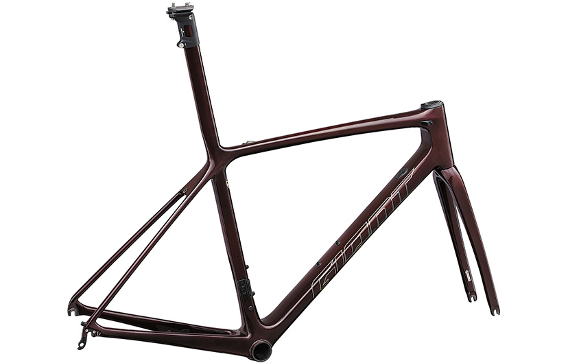 2021 GIANT Bicycles | TCR ADVANCED SL DISC FRAME SET