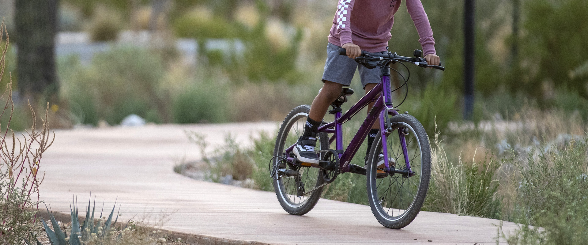 2022 GIANT Bicycles | ARX 24/20