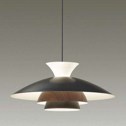 LEDペンダントライト DXL-81309 大光電機 照明器具 | ホームセンター