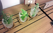 ホームエレクター活用術 | ホームエレクター（Home ERECTA）