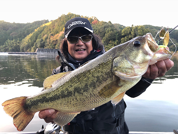 EVERGREEN（エバーグリーン インターナショナル） - OCSC-67M カンタータ