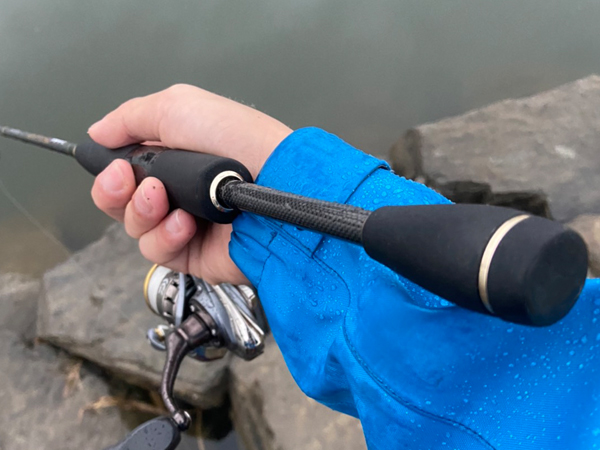 EVERGREEN（エバーグリーン インターナショナル） – フェイズ PCSS