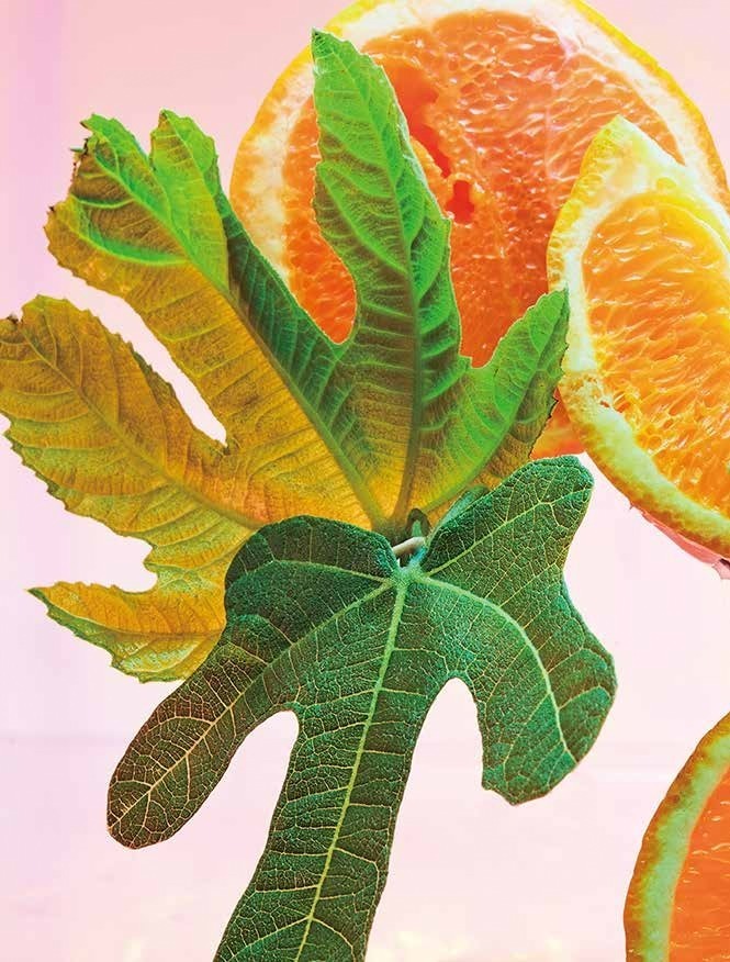 ブルガリ“花の香りの万華鏡”のような「オムニア」新作フレグランス