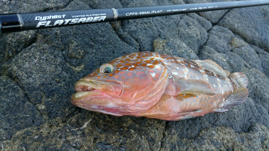 Crazy Rock】 Valleyhill CYPHLIST