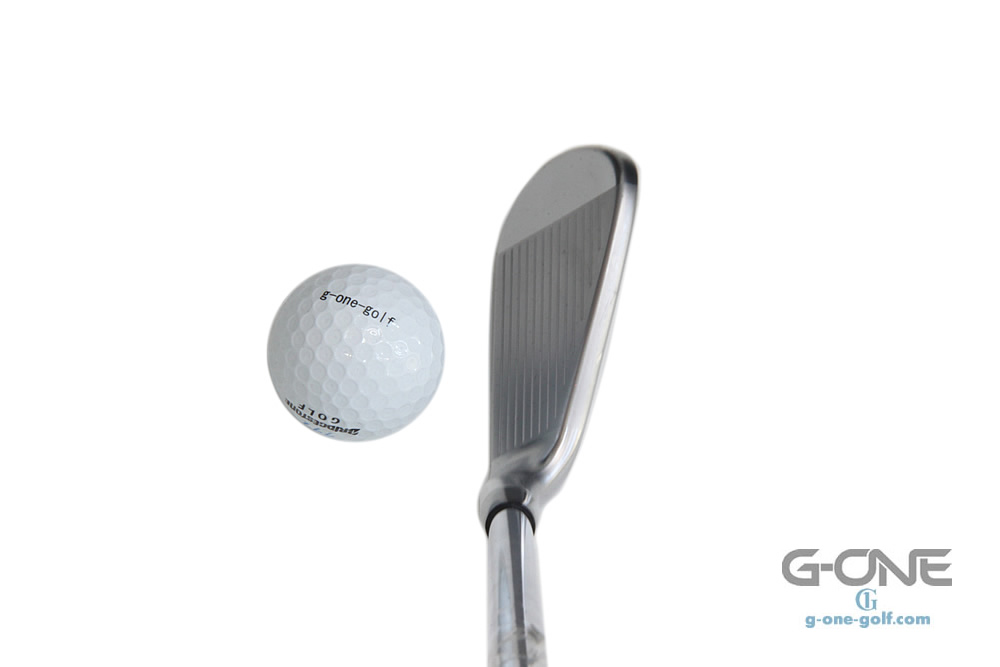 テーラーメイド P760 アイアン - ジーワンゴルフ