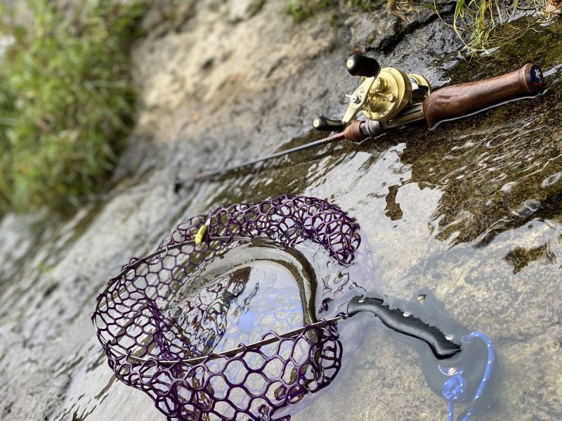 ☆WESSEXトラウトロッドWSE-C/48（ノーマルガイドモデル）、WSE-C/48SP