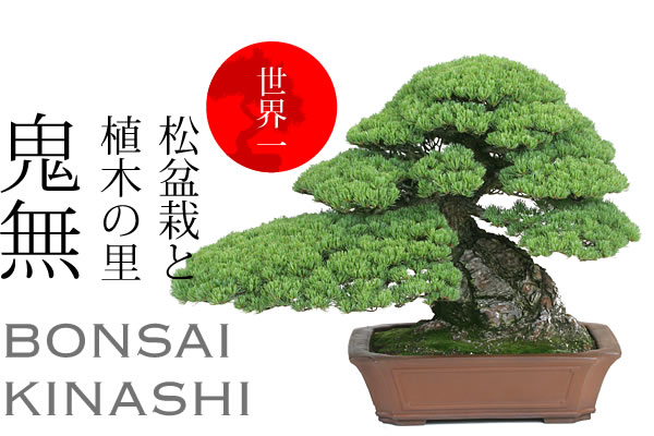 Bonsai at Takamatsu｜世界一の松盆栽と植木の里 鬼無