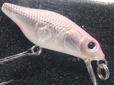 MEGABASS / X-30 MARUKIN (SINKING) | IchibanTackle.com