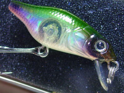 MEGABASS / X-30 MARUKIN (SINKING) | IchibanTackle.com