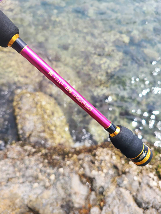 魅黒/RED ZERO-GEVOLUTION800朱雀IIEVA 魅黒/RED ZERO-GEVOLUTION800