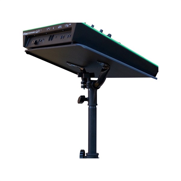 Kikutani KS-203【専用ソフトケースセット】 ｜イケベ楽器店オンライン